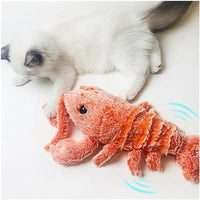 Thumbnail for Pet Toy