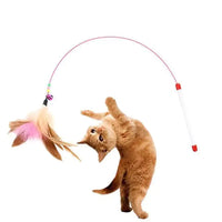 Thumbnail for Feathers Tease Cat Toys