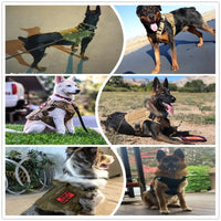 Thumbnail for Metal Buckle Tactical Dog Harness
