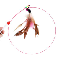 Thumbnail for Feathers Tease Cat Toys