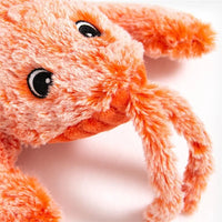 Thumbnail for Pet Toy